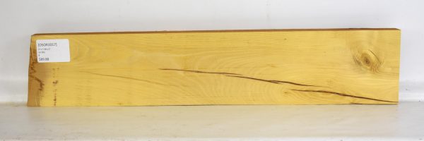 Osage Orange - Image 2