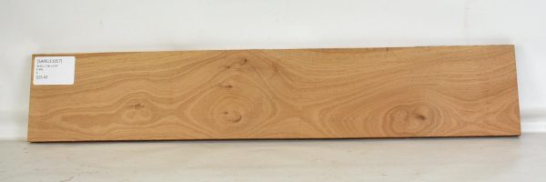 Sapele - Image 2