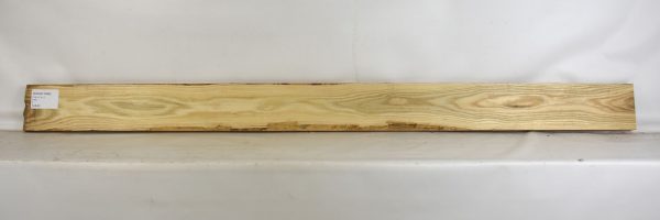 Sassafras - Image 2