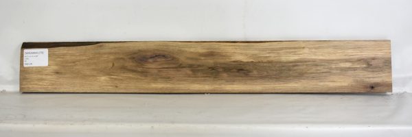 Walnut - American (Prime)