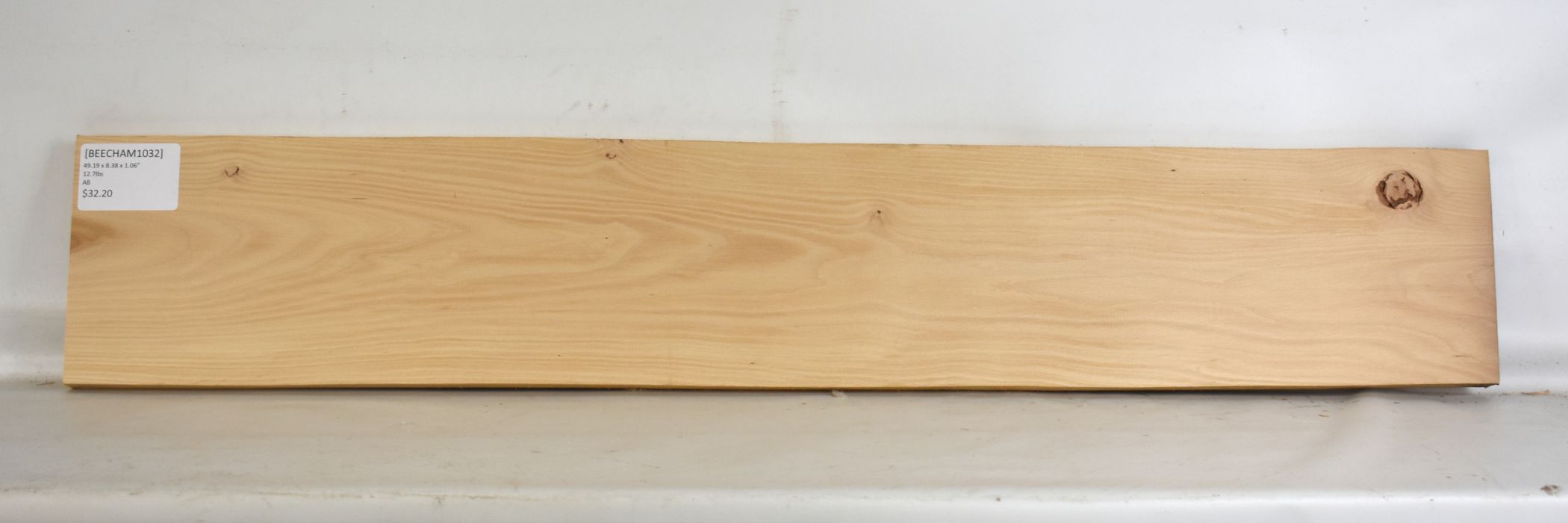 Beech - American - Image 2