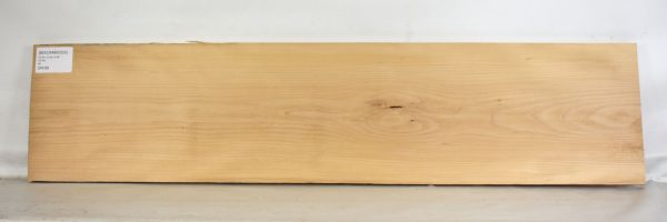 Beech - American - Image 2
