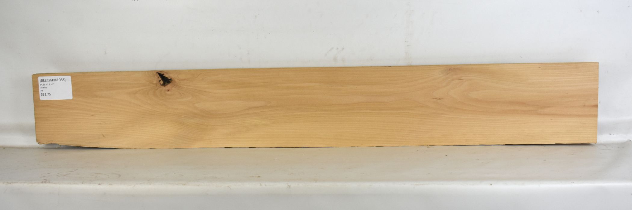 Beech - American - Image 2