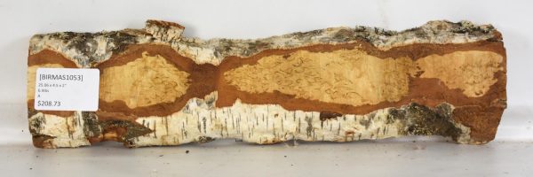 Birch - Masur