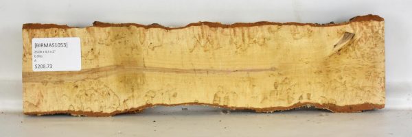 Birch - Masur - Image 2