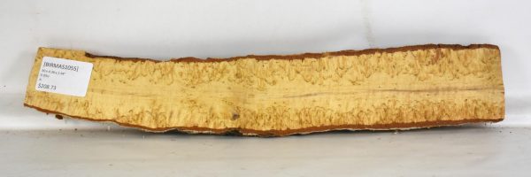 Birch - Masur - Image 2