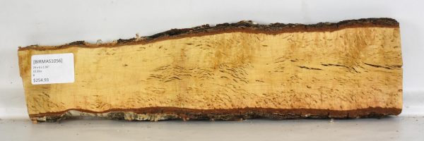 Birch - Masur - Image 2