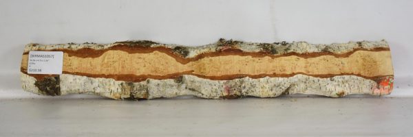 Birch - Masur