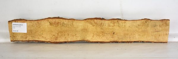 Birch - Masur - Image 2