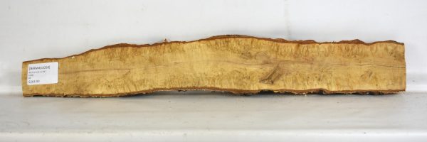 Birch - Masur - Image 2