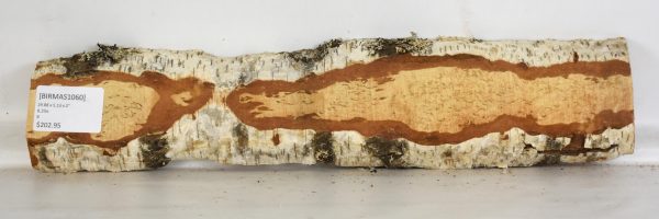 Birch - Masur