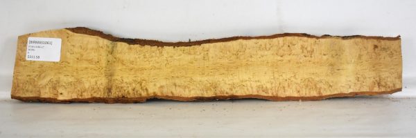 Birch - Masur - Image 2