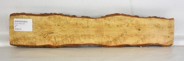 Birch - Masur