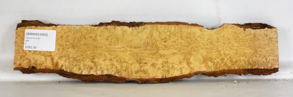 Birch - Masur - Image 2