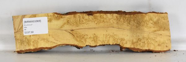 Birch - Masur