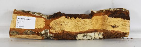 Birch - Masur - Image 2