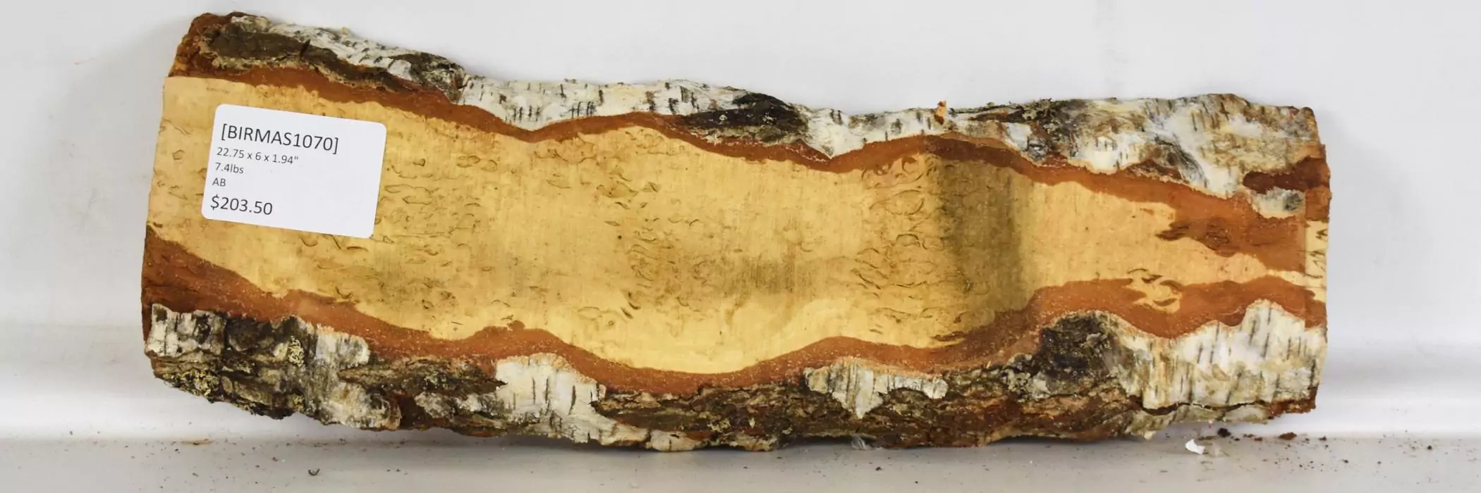 Birch - Masur - Image 2