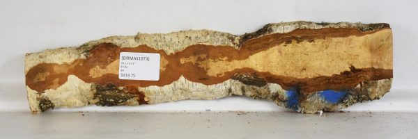 Birch - Masur