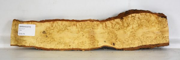 Birch - Masur - Image 2
