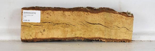 Birch - Masur - Image 2