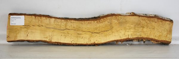 Birch - Masur