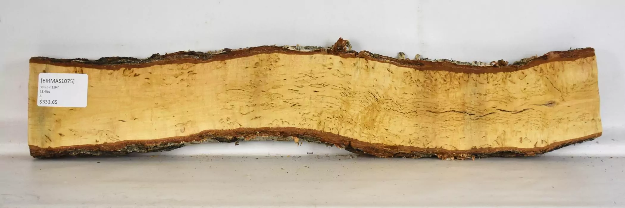 Birch - Masur 2 Birch - Masur - Image 2