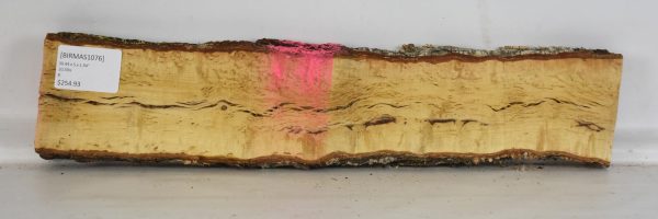 Birch - Masur