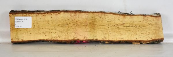 Birch - Masur - Image 2