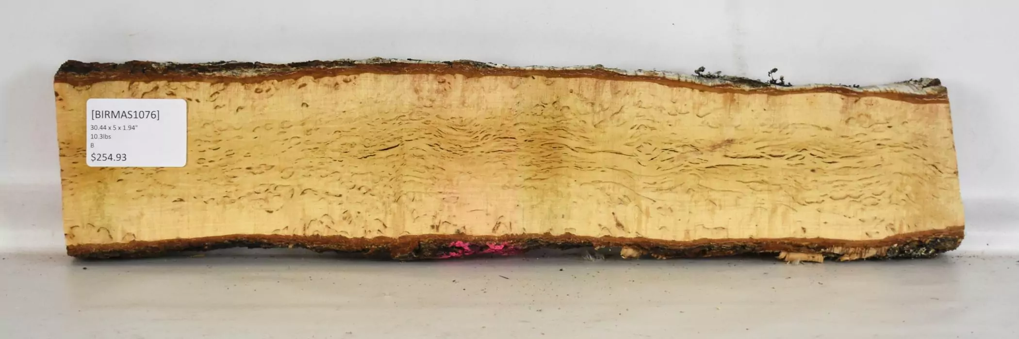 Birch - Masur - Image 2