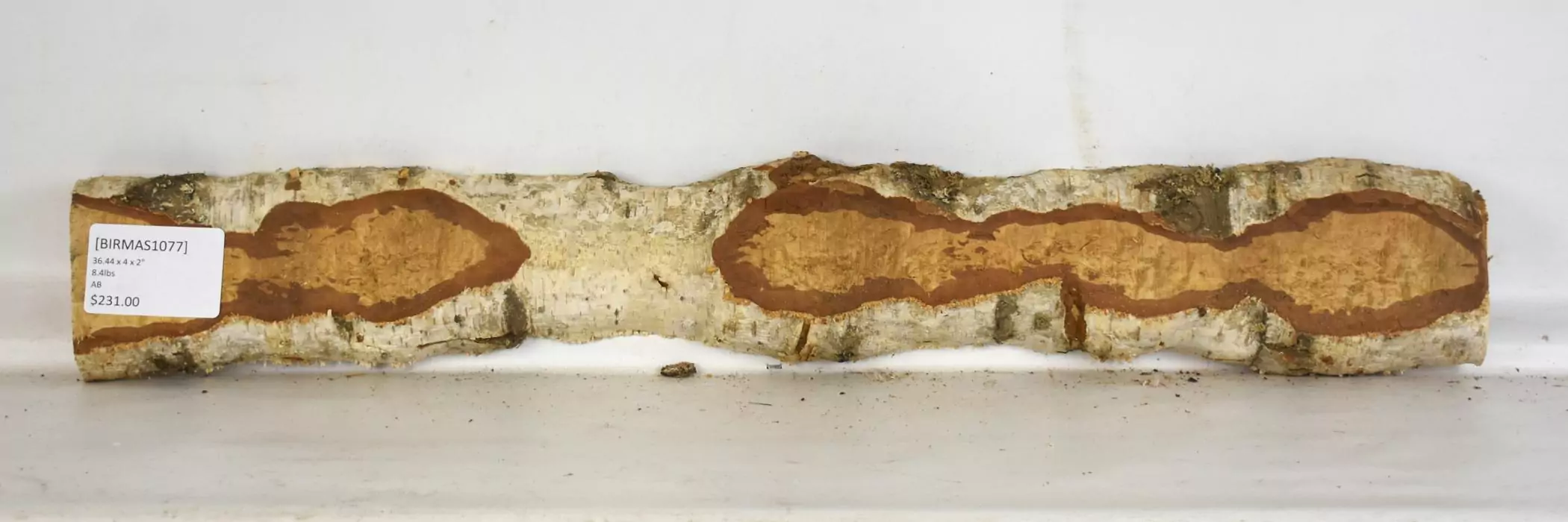 Birch - Masur - Image 2