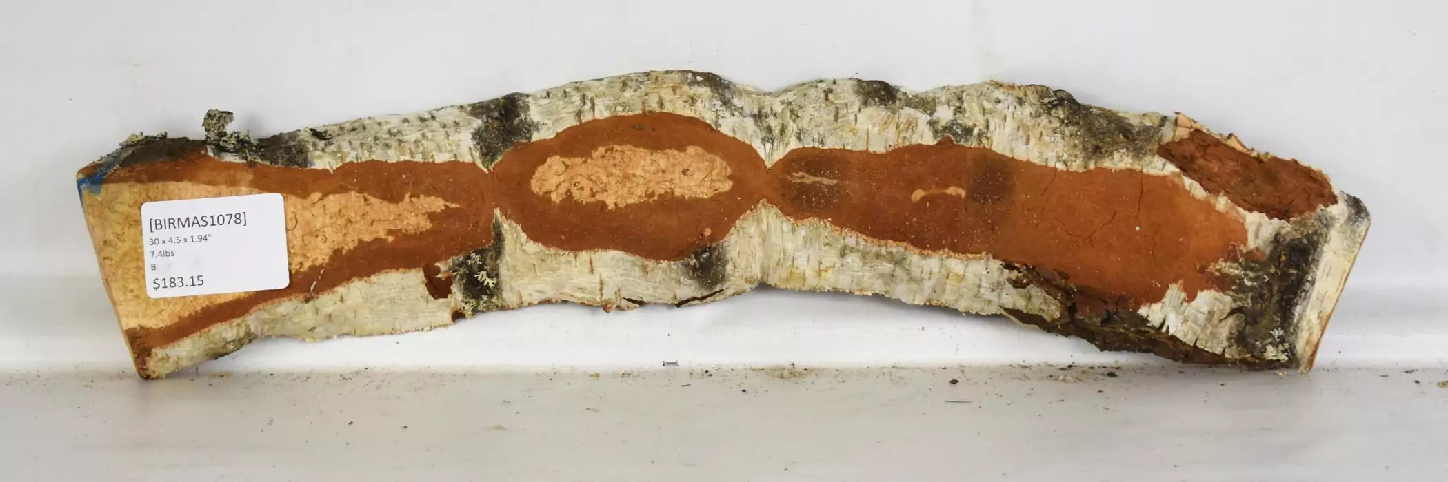 Birch - Masur 1 Birch - Masur