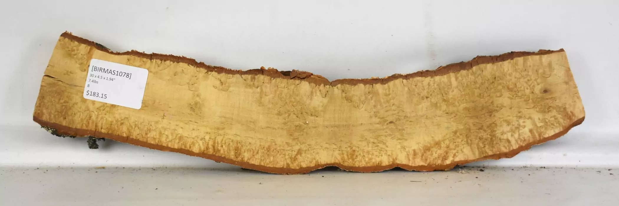 Birch - Masur 2 Birch - Masur - Image 2