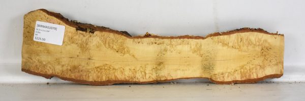Birch - Masur - Image 2