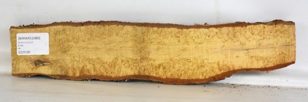 Birch - Masur - Image 2