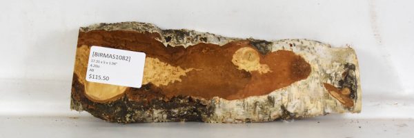 Birch - Masur - Image 2