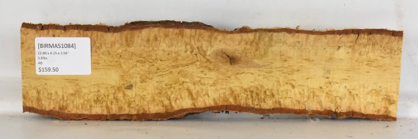 Birch - Masur - Image 2