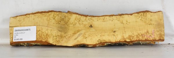 Birch - Masur - Image 2