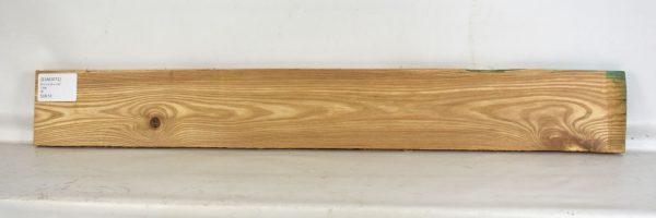 Elm