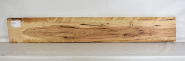 Hickory - Image 2