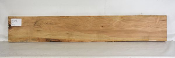 Hickory - Image 2