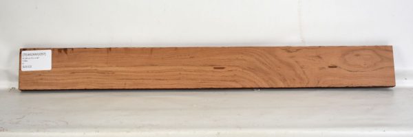 Teak - Zambezi