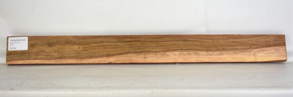 Teak - Zambezi