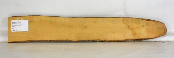 Boxwood - Image 2