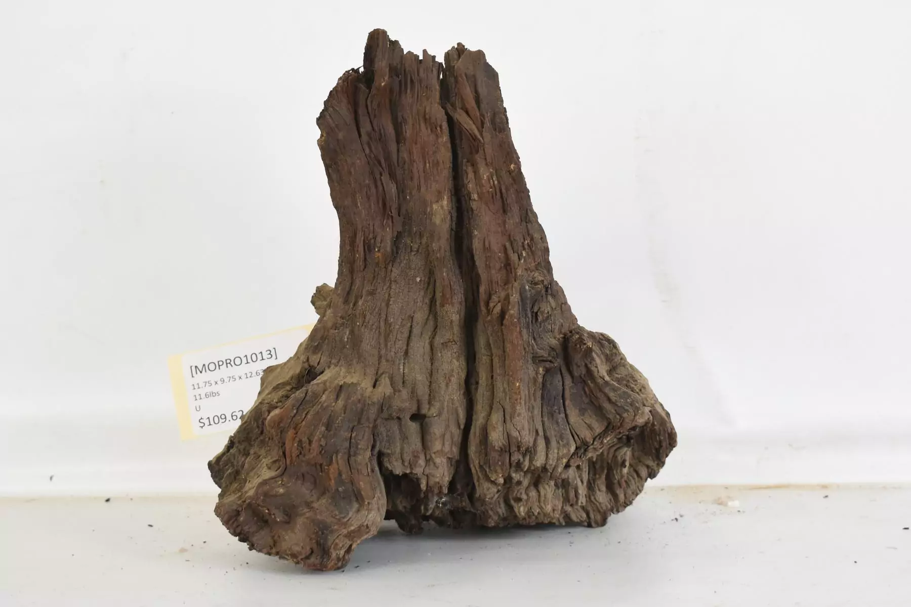 Mopane Roots - Image 2