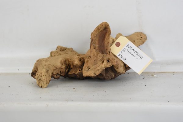 Mopane Roots