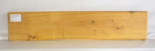 Osage Orange - Argentine