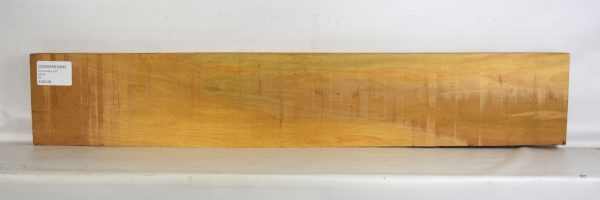 Osage Orange - Argentine