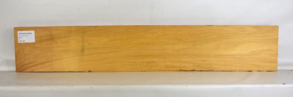 Osage Orange - Argentine - Image 2