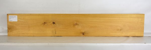 Osage Orange - Argentine - Image 2