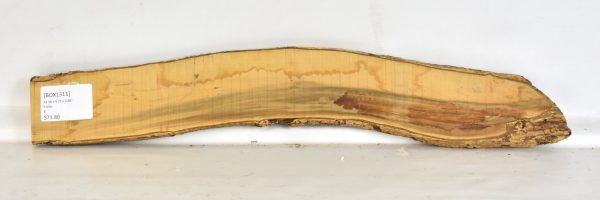 Boxwood - Image 2